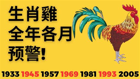 1993屬雞2023運勢|【93年屬雞人每月運勢】1993年屬雞人2023年運勢及運程93年30。